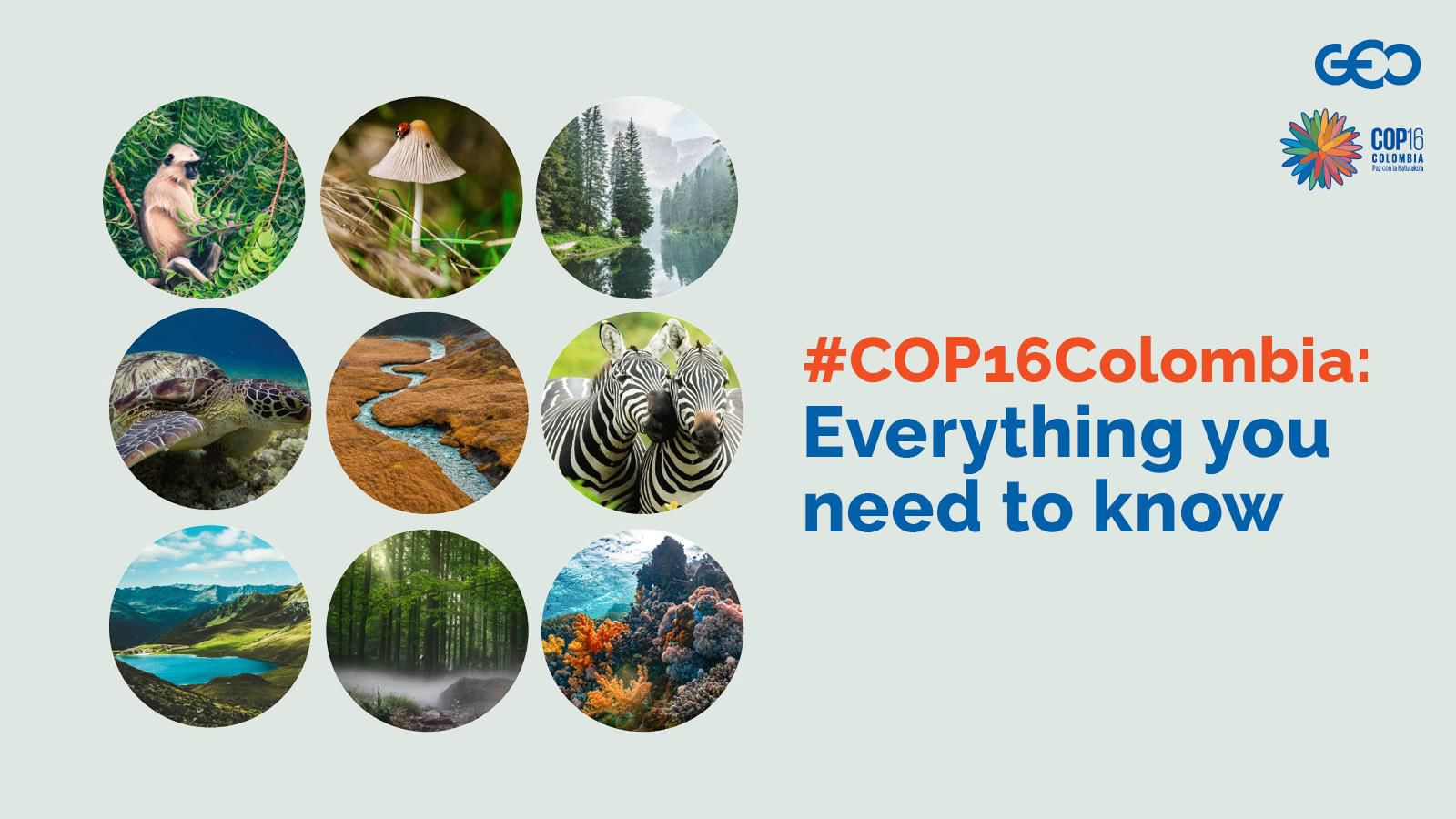 COP16-guide-1